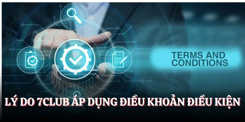 Lý do 7CLUB áp dụng điều khoản điều kiện
