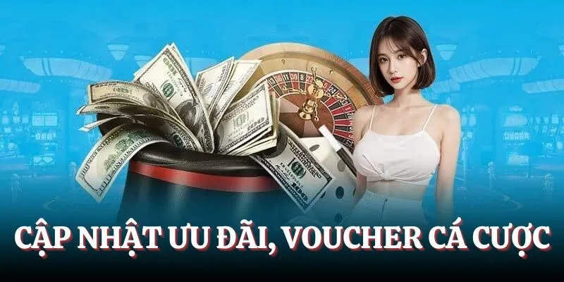 Cập nhật ưu đãi, voucher cá cược