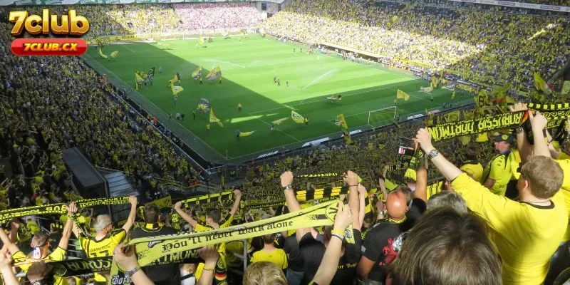 Giới Thiệu Chung Về A-Sports 7club