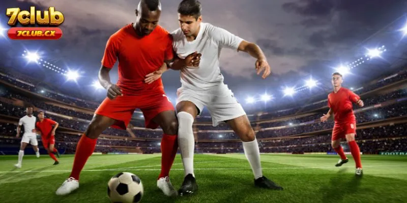 Giới Thiệu Tổng Quan Về K - Sports 7club