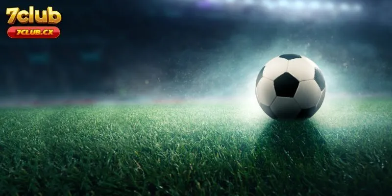 Tỷ Lệ Cược Và Cách Tính Tiền Trong T-Sports