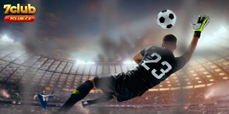 Giới Thiệu Chung Về T-Sports 7Club